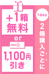 1day2箱ごとに+1箱無料or1,100円引き