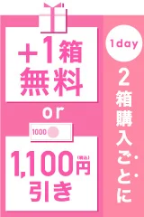 1day2箱ごとに+1箱無料or1,100円引き