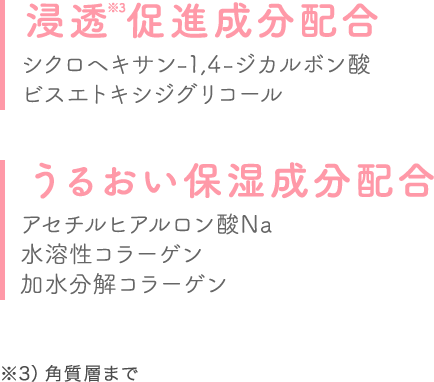 アセチルヒアルロン酸Na 

水溶性コラーゲン 加水分解コラーゲンうるおい保湿成分配合シクロヘキサン-1,4-ジカルボン酸ビスエトキシジグリコール浸透促進成分配合 ※3）角質層まで