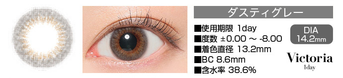 Victoria 1day ダスティグレー DIA14.2mm 使用期限1day 度数±0.00～-8.00 着色直径13.2mm BC8.6mm 含水率38.6%