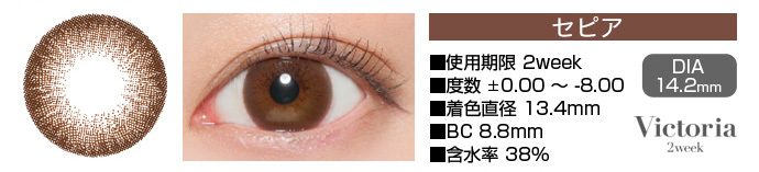 Victoria 2week セピア ブラウン DIA14.2mm 使用期限2week 度数±0.00～-8.00 着色直径13.4mm BC8.8mm 含水率38%