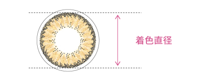 着色直径