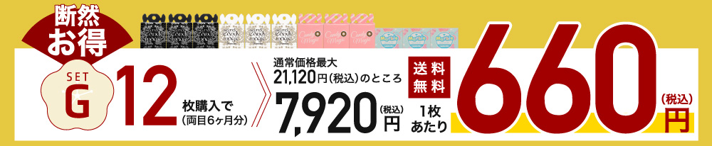 setG 12枚購入で1枚あたり660円(税込)