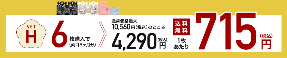 setH 6枚購入で1枚あたり715円(税込)