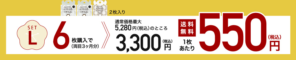 setL 6枚購入で1枚あたり550円(税込)