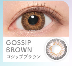 Candymagic 1dayキャンディーマジックワンデーGOSSIP BROWN ゴシップブラウン