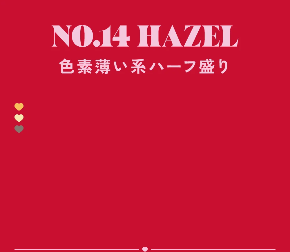 NO.14へーゼル