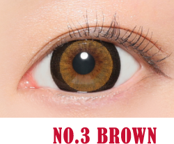 NO.3ブラウン