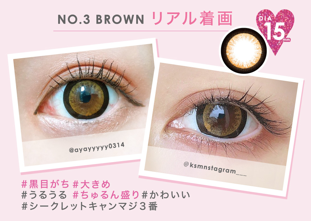 NO.3 BROWN リアル着画