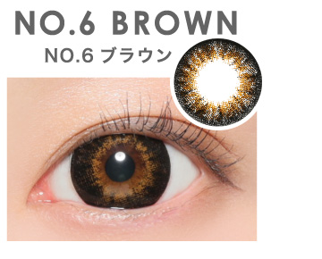 NO.6 BROWN NO.6ブラウン