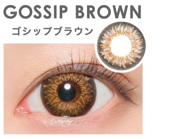 GOSSIP BROWN ゴシップブラウン