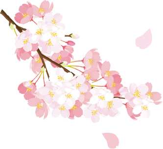 桜1