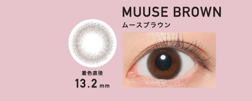 MUUSE BROWN ムースブラウン