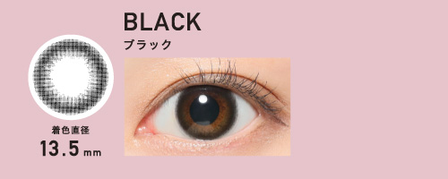 BROWN ブラウン