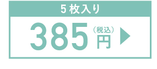 お試しにピッタリ 5枚入り 385円(税込)