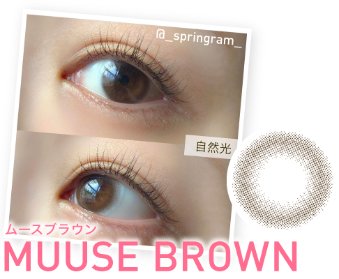 MUUSE BROWN ムースブラウン
