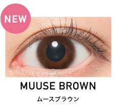 MUUSE BROWN ムースブラウン