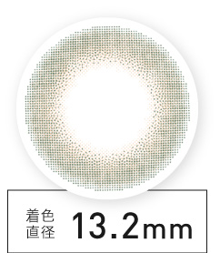 着色直径13.2㎜