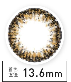 着色直径13.6㎜