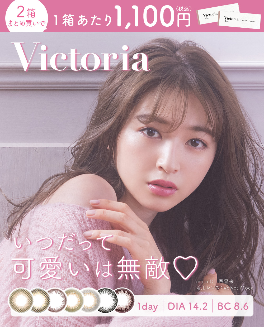 Victoria 1day DIA14.2 BC8.6 2箱まとめ買いで1箱あたり1,100円(税込)