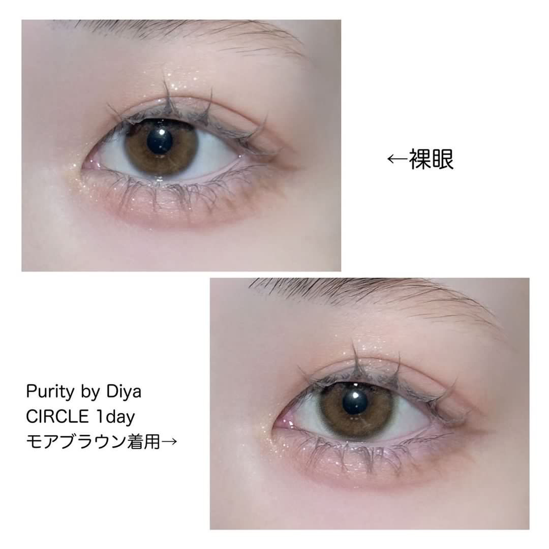 Purity by Diya CIRCLE 1day モアブラウン