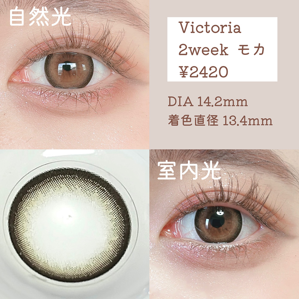 Victoria 2week モカ