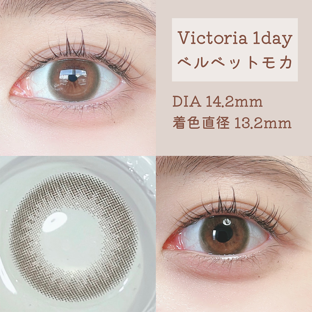 Victoria 1day ベルベットモカ