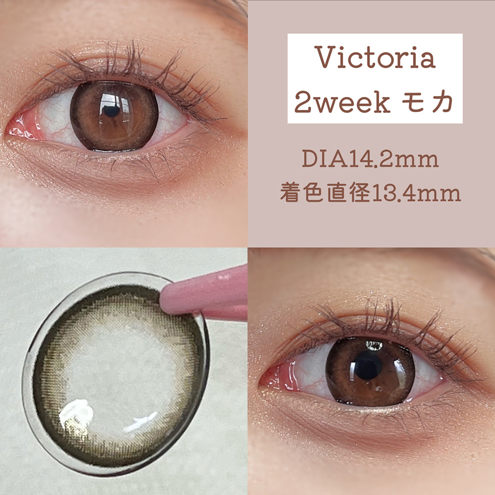 Victoria 2week モカ