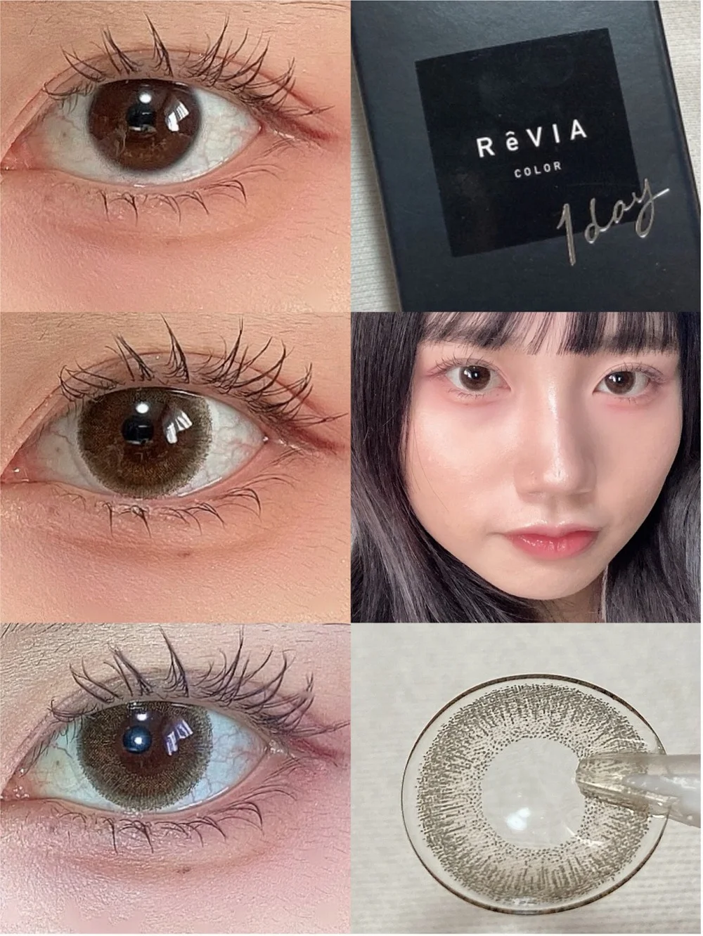 ReVIA 1day COLOR（レヴィア ワンデーカラー）SheerSable - シアーセーブル