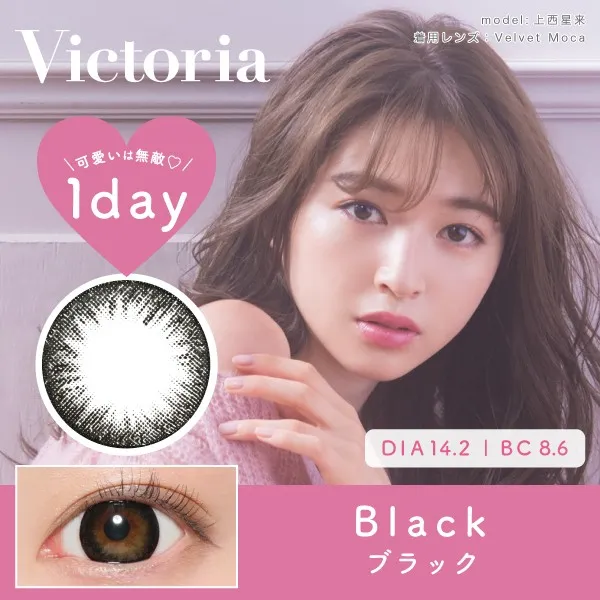 Victoria 1day(ヴィクトリア ワンデー) ブラック DIA14.2㎜ BC8.6㎜
