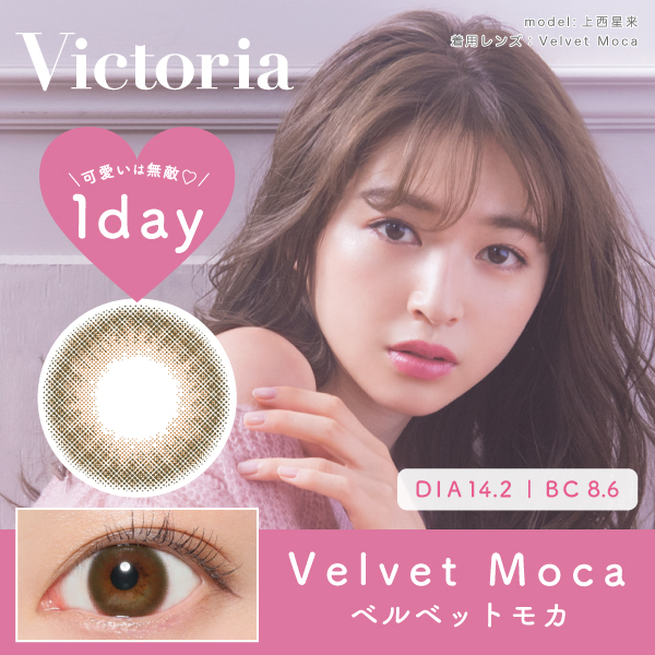 Victoria 1day Velvet Moca(ベルベットモカ)