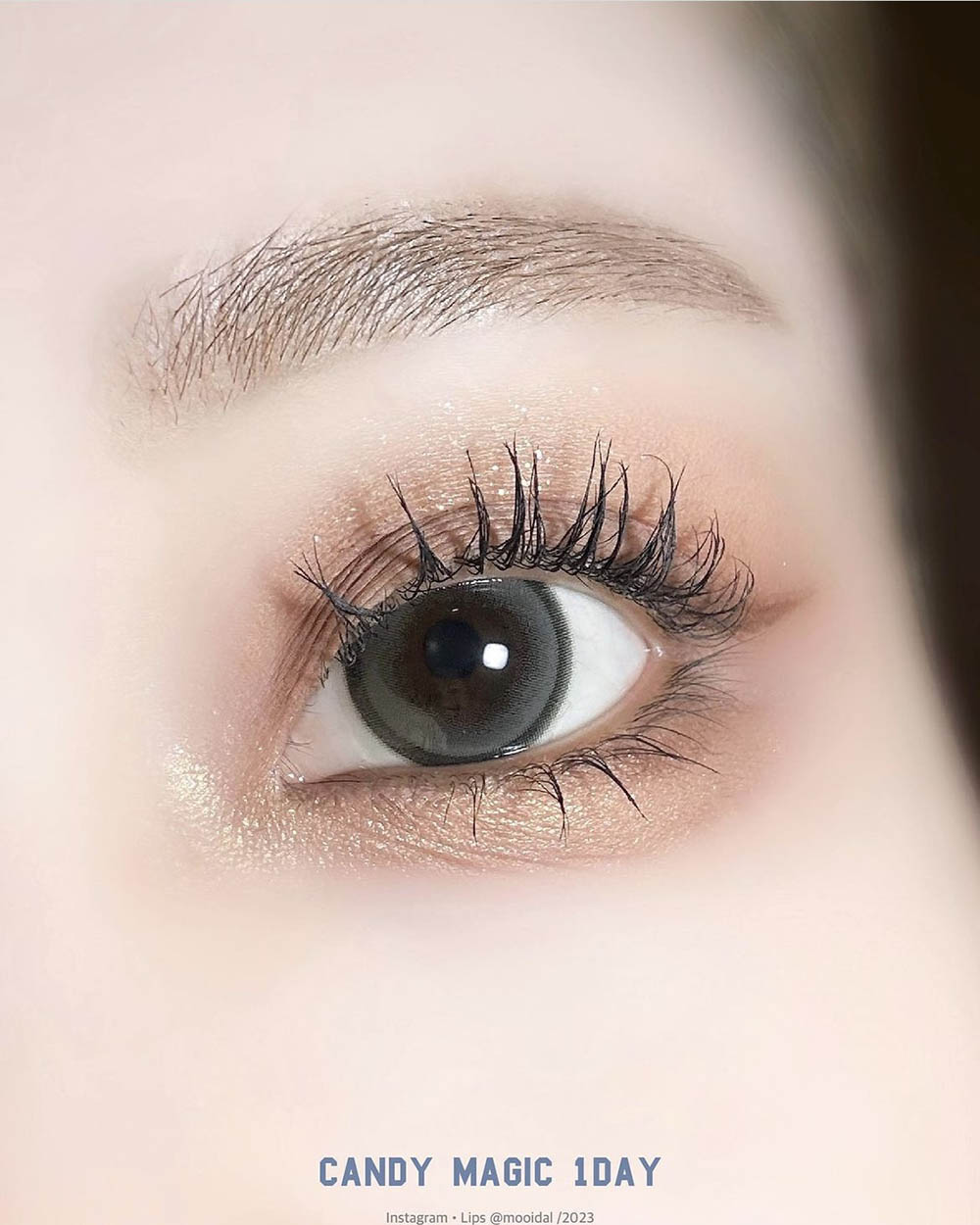Candymagic 1day Date Brown