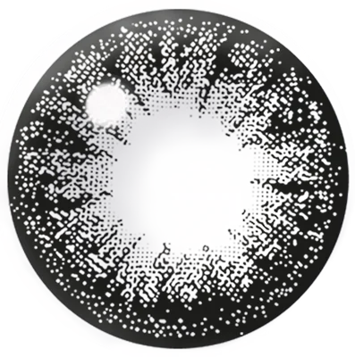 FABULOUS NO.5 ブラック レンズ画像