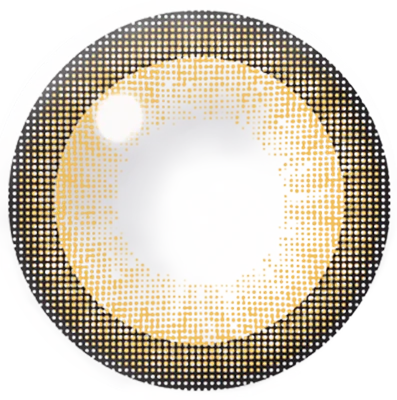 FABULOUS NO.3 ブラウン レンズ画像